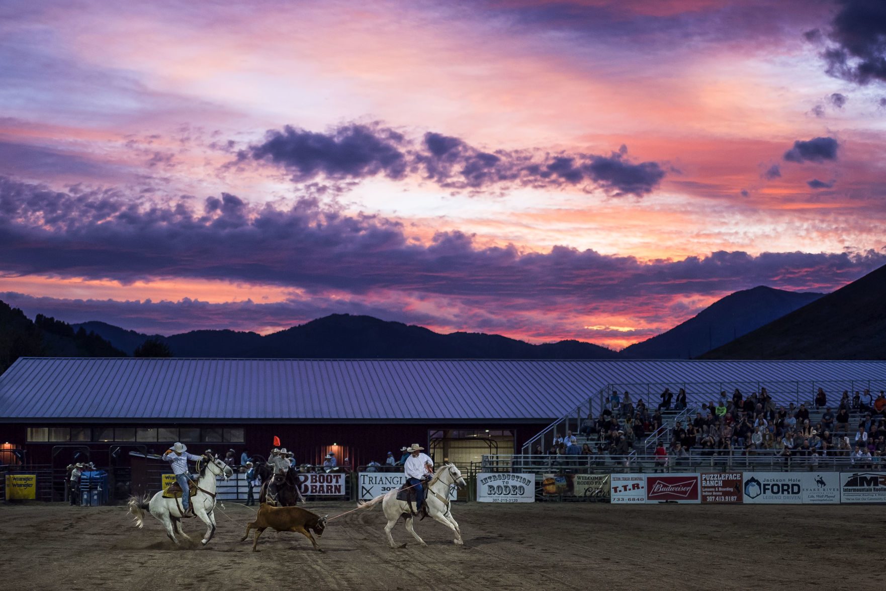 Jackson Hole Rodeo